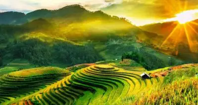 Ruộng bậc thang: Điểm nhấn của Sa Pa