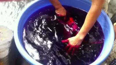 Dùng thuốc tím tẩy trắng áo sơ mi