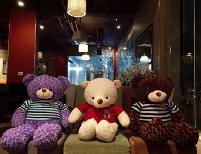 SHOP GẤU BÔNG TEDDY