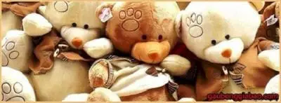Shop Gaubonggiabao.com
