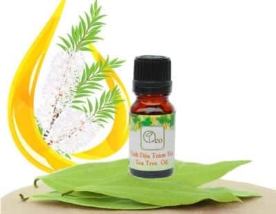 Hệ thống cửa hàng tinh dầu tự nhiên OLEO chuyên cung cấp sỉ và lẻ sản phẩm tinh dầu thiên nhiên