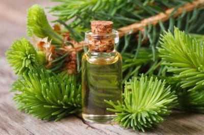 Silent Night là một trong những đơn vị phân phối tinh dầu thiên nhiên chuyên nghiệp và lớn nhất trên toàn quốc