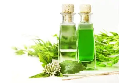 Những sản phẩm phổ biến tại Kim Thư là tinh dầu massage, tinh dầu tạo hương thơm, tinh dầu trị liệu…