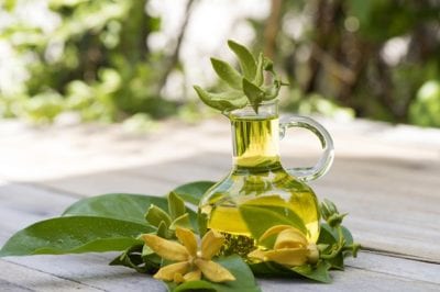 Tinh dầu thiên nhiên nhập khẩu - IDANGCAP Việt Nam là Top 5 địa chỉ mua tinh dầu tốt nhất tại TP. Hồ Chí Minh