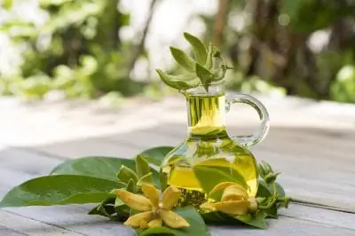Tinh dầu thiên nhiên nhập khẩu - IDANGCAP Việt Nam là Top 5 địa chỉ mua tinh dầu tốt nhất tại TP. Hồ Chí Minh