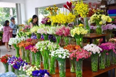 Hoa Sài Gòn thành lập năm 2008 với sứ mệnh truyền tải thông điệp của khách hàng theo một cách khác biệt