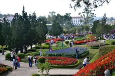 Vườn hoa thành phố Đà Lạt: Địa điểm du lịch Đà Lạt 2021 mới nhất